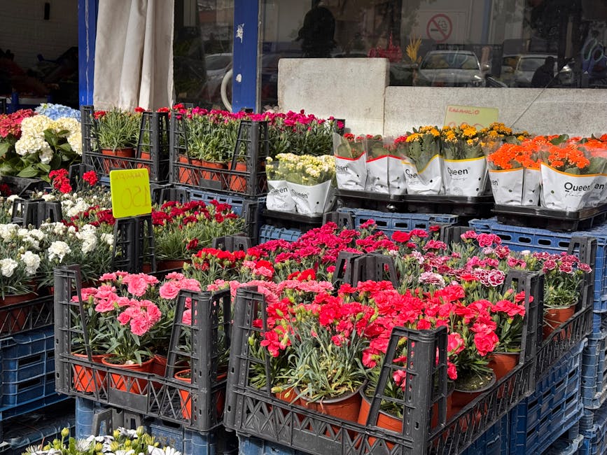 Outdoor display of potted flowering plants arranged on black plastic crates outside a flower shop. The collection includes pink, red, white, yellow, and orange blooms, primarily carnations and chrysan