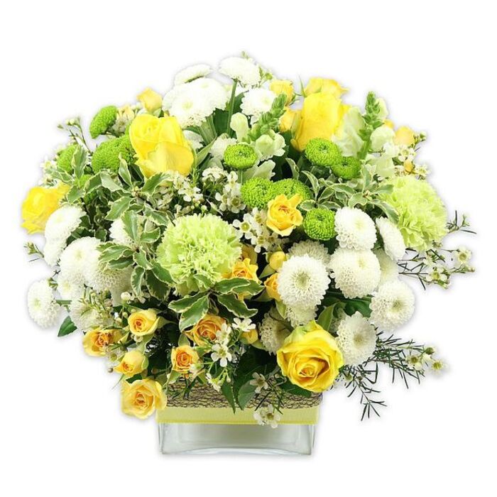 A generously proportioned, dome-shaped bouquet is presented in a low rectangular glass vase, the whole arrangement photographed against a stark white backdrop that lets the vivid colours and intricate textures shine. This is the sort of polished display you might see on a dining table in a Gants Hill home, catching the daylight streaming through large windows. At the core of the design are sumptuous yellow roses, their velvety petals layered in spirals, some blooms wide open while others remain partially closed, offering a sense of evolving beauty. Woven around them are clusters of smaller yellow spray roses, which fill the gaps with extra brightness and a slightly more relaxed, garden-style charm. Among the yellows sit dense, spherical white pompom chrysanthemums, their tightly packed petals forming neat, rounded forms that soften and balance the arrangement. Bright lime green button chrysanthemums appear like tiny orbs of energy, and larger, frilled pale green blooms-reminiscent of green carnations or decorative mums-add airy volume, making the bouquet feel both abundant and contemporary. The composition is wrapped in a lush collar of greenery: broad leaves with variegated, creamy-white edges mix with darker green foliage and slender, feathery stems of filler greens, creating depth, structure, and a sense of natural movement. Sprinkled throughout are small, star-like white filler flowers, offering lightness and fine detail, as though the bouquet has been dusted with tiny blossoms. The clear glass vase is encircled at its middle with a rustic, textured material-like woven raffia, jute, or bark-over which a pale yellow or lime green ribbon is neatly tied, echoing the colours within the bouquet. The visible stems inside the vase reveal the careful hand of an experienced florist. This arrangement exudes warmth, freshness, and joy, making it ideal for birthdays, housewarmings, or congratulatory messages delivered across Gants Hill and the surrounding Ilford streets.