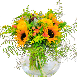 At first glance, this lavish bouquet assembled in Gants Hill dazzles with sunlit exuberance-a vibrant display evocative of summer's golden mornings along Cranbrook Road. The arrangement's core is comprised of radiant sunflowers, each large bloom framing a rich brown center and ringed in sun-bright petals. Nearby, clusters of yellow roses spiral gracefully, the layers of tightly packed petals bringing softness and old-fashioned elegance that speaks of timeless gardens. Bursts of red hypericum berries glitter between the flowers, their shiny, berry-red tones dancing above the arrangement's tapestry of lush green foliage. Ferns trail delicately from the bouquet's edges, paired with airy solidago stems adorned in tiny yellow blooms, all reminiscent of local parks at their summer peak. Bluish-green eucalyptus peeks out, infusing a cool note and further dimension. A crystal-clear, round vase, reminiscent of those showcased by Gants Hill's finest local florists, anchors the stems in pure shimmering water, offering clarity and a refreshing finish. Under soft daylight, every nuance-a gentle curve of petal, the contrast of matte yellow and glossy red, the subtle interplay of textures-comes alive. The arrangement evokes the joyful spirit of celebrations-ideal for birthdays, anniversaries, or impromptu gatherings-and brings a little of Gants Hill's natural cheerfulness into every home.